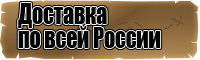 Толстовки с надписями женские с капюшоном